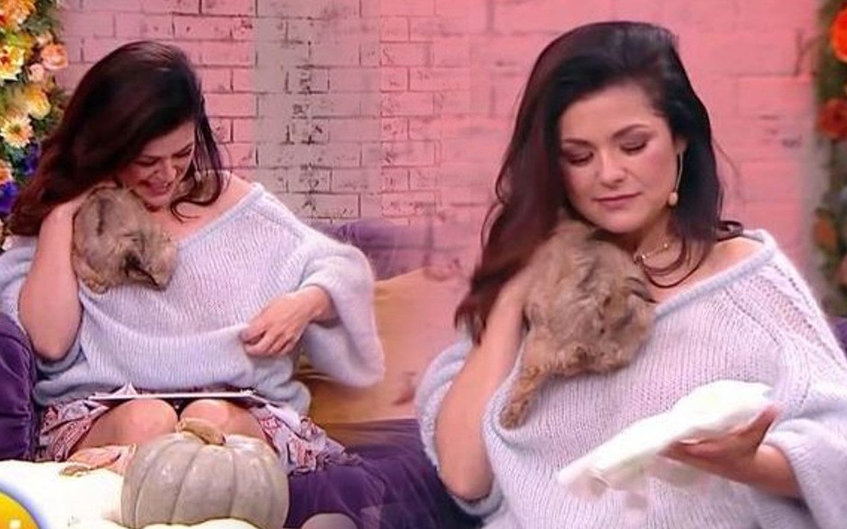 Wpadka w “Pytaniu na Śniadanie”. Kasia Cichopek została OBSIKANA