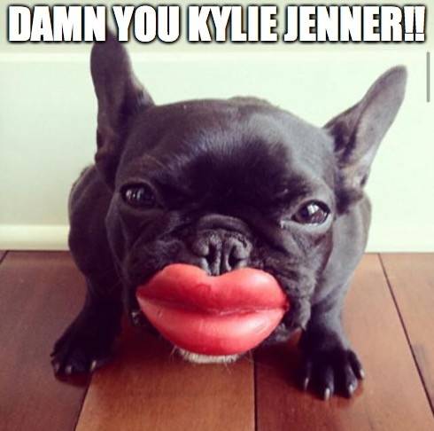 Kylie Jenner i jej usta na memach