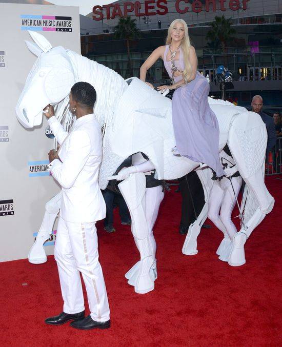 American Music Awards 2013