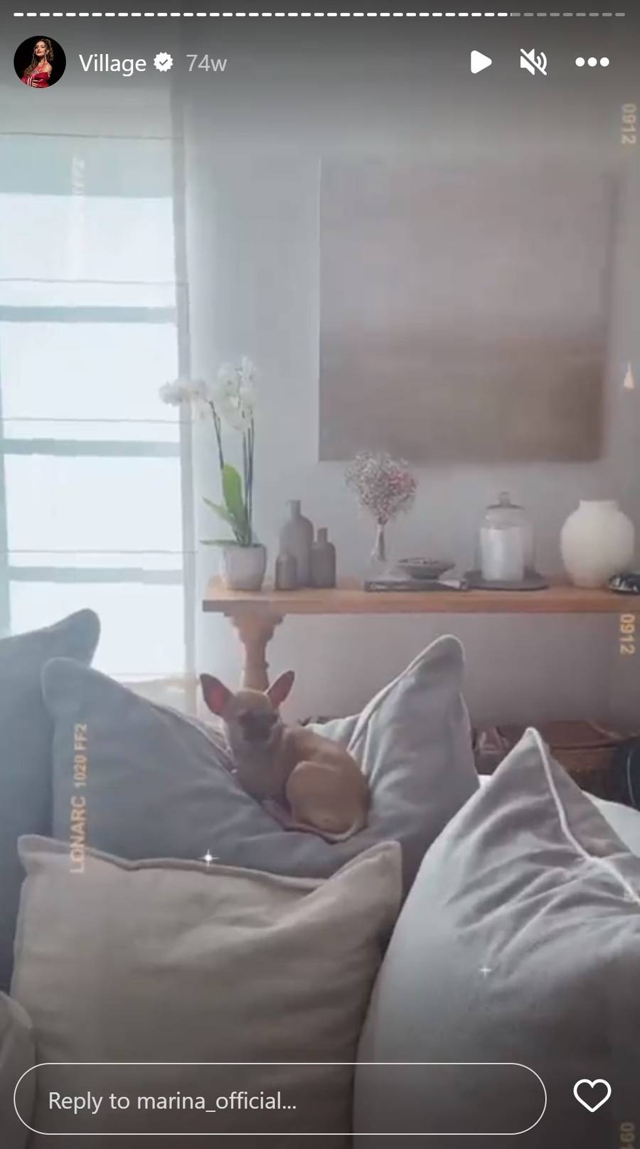 Jak wygląda sekretny domek Mariny i Wojtka Szczęsnego? Luksusowa willa z basenem po środku lasu, z dala od cywilizacji