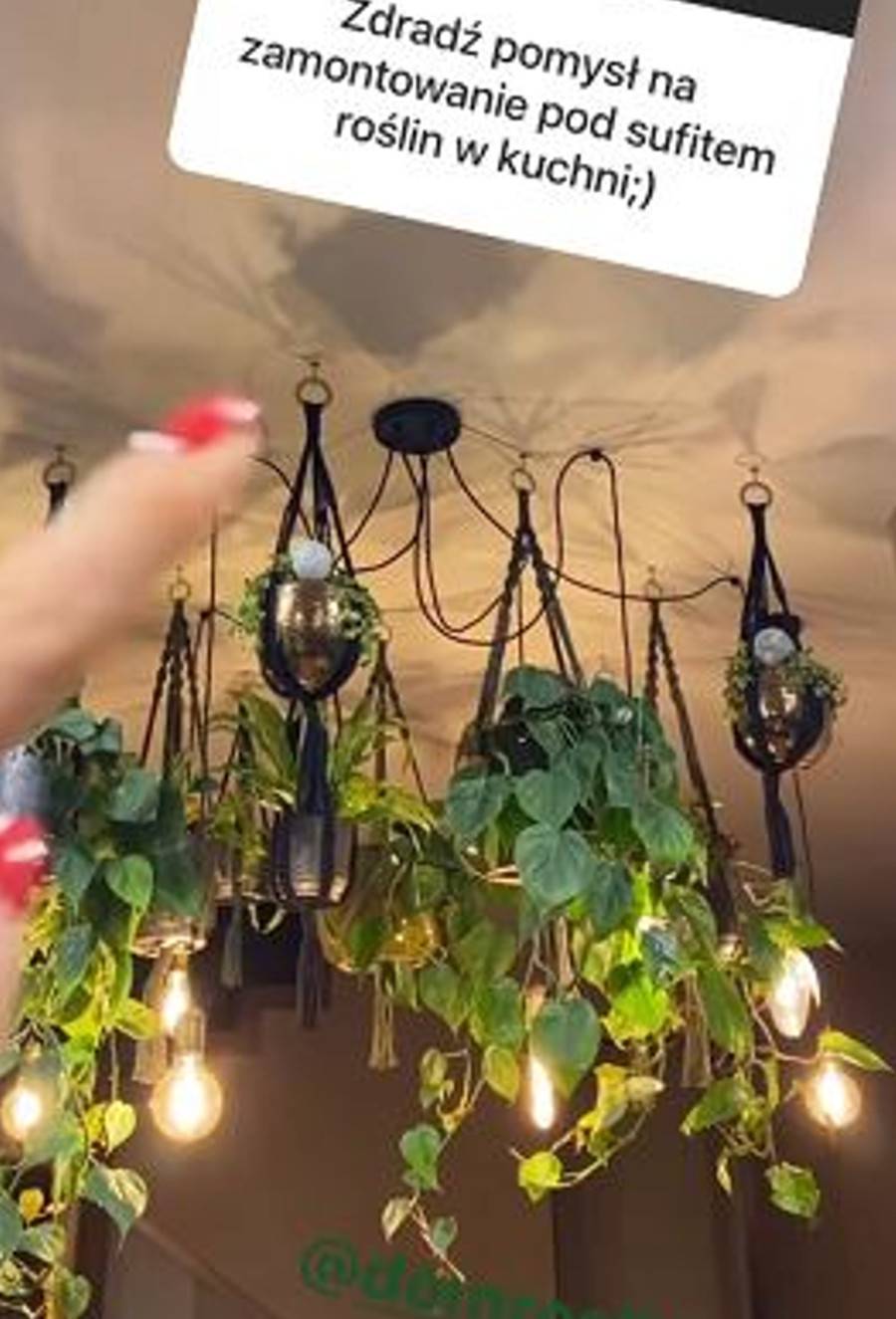 Zofia Zborowska pokazała, jak wyglądają w jej domu żyrandole.