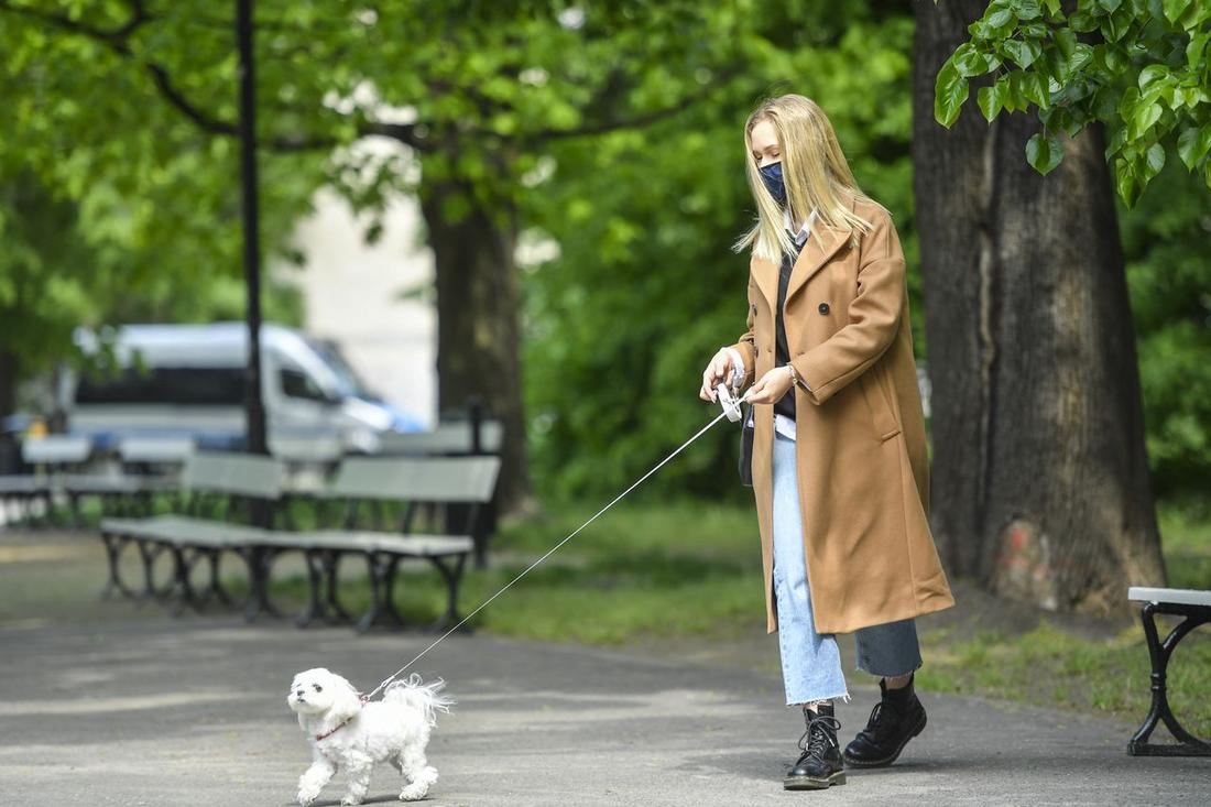 Helena Englert z psem na spacerze, maj 2020