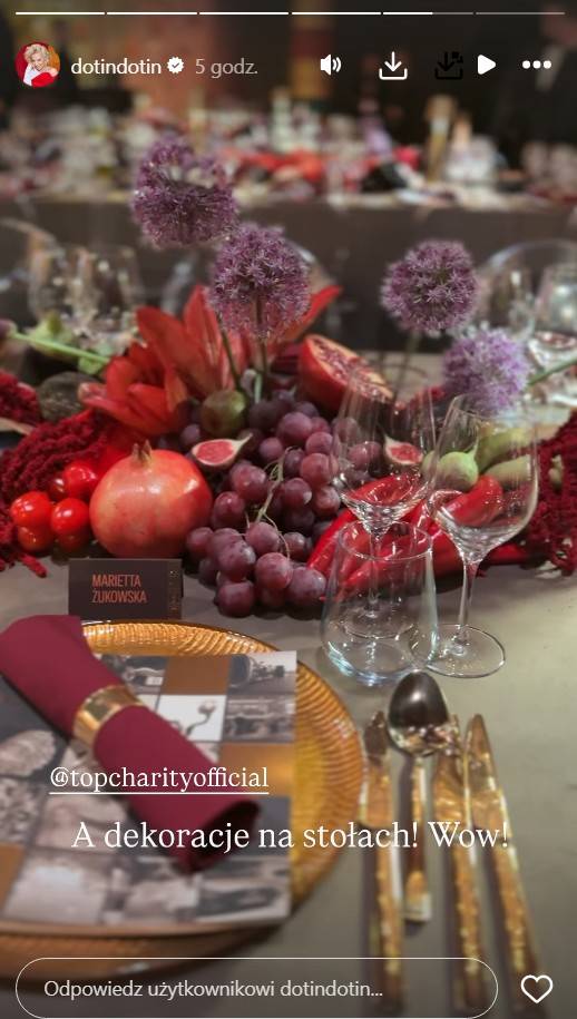Dorota Szelągowska ujawnia kulisy Gali Top Charity 2026, fot. Instagram