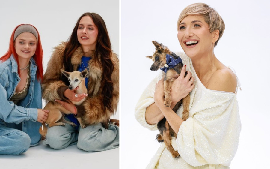 Gwiazdy w uroczej sesji do kalendarza “Psierociniec”. Margaret, Magda Steczkowska, Rafał Szatan…(FOTO)