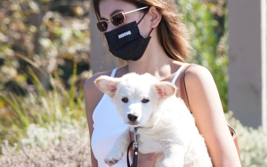 Zakochani Kaia Gerber i Austin Butler na spacerze ze swoim kundelkiem