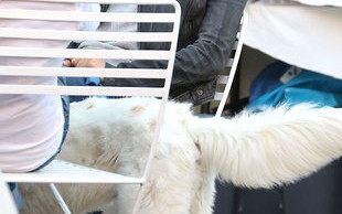 Olivia Wilde: MOJA WAGINA UMIERAŁA