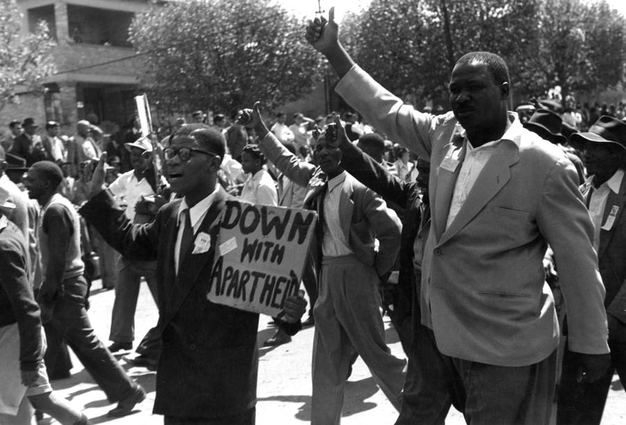 Historia i mroczne sekrety rodziny Elona Muska – kazirodztwo, kopalnie szmaragdów, apartheid i technokracja…