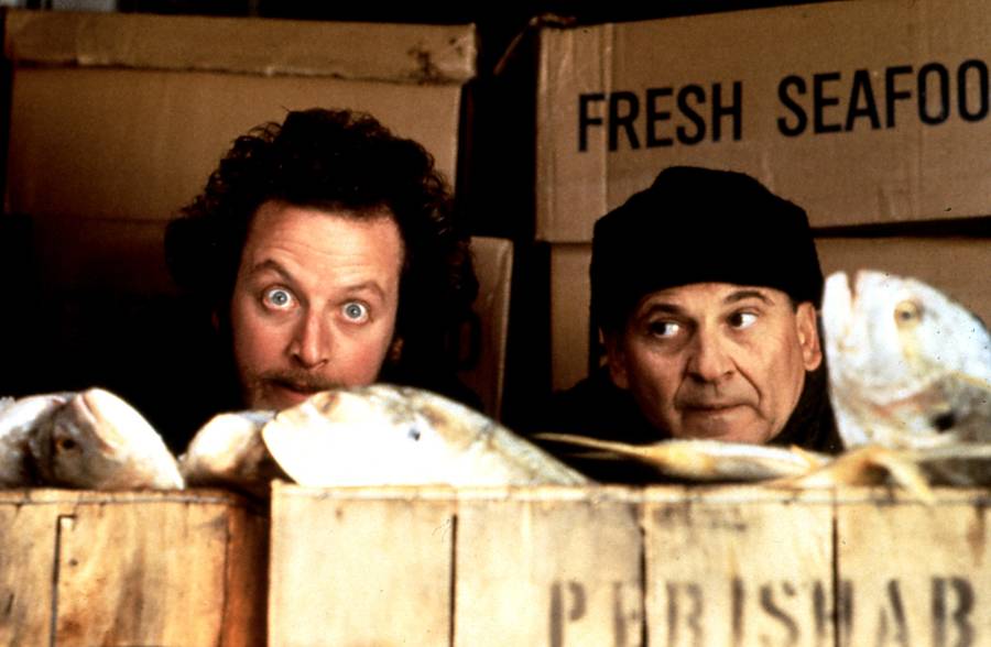 Daniel Stern, fot. AKPA.