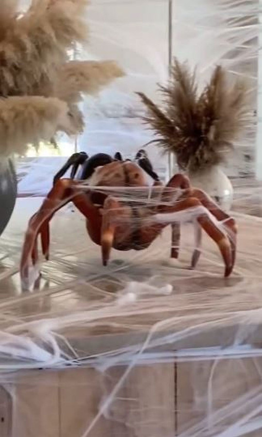 Raczej nie świętuję.