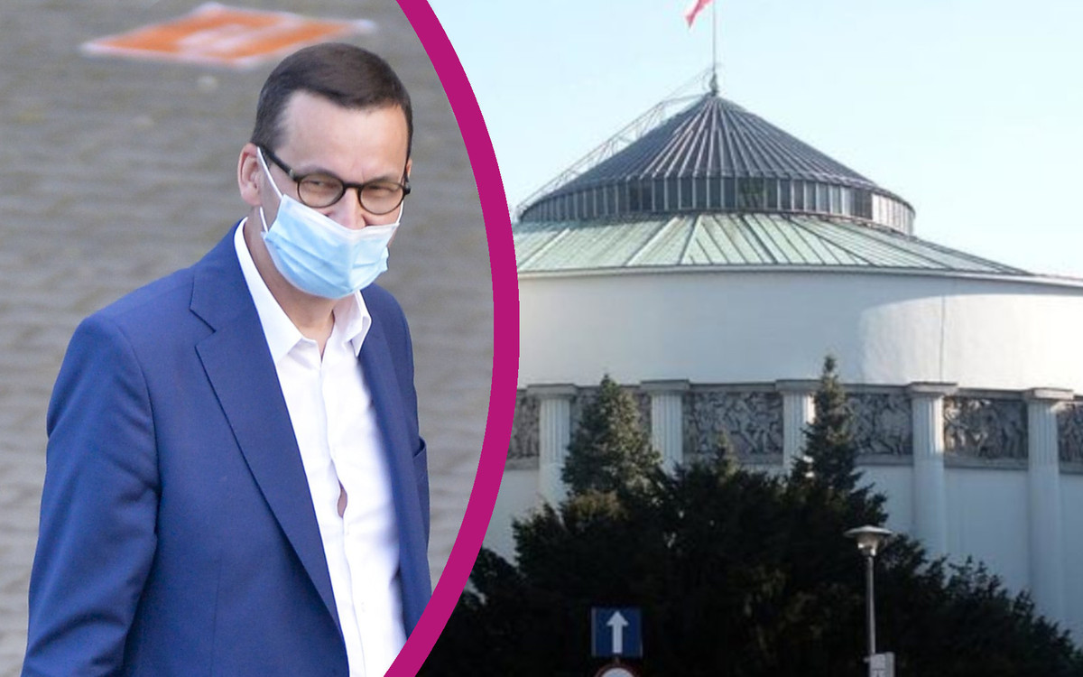 Rząd zamówił 17 ton mięsa. Kosztowało KROCIE