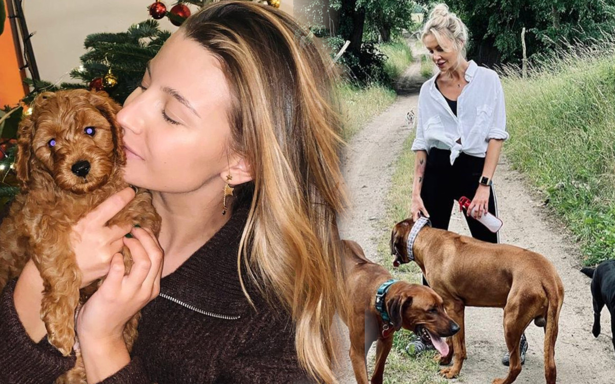 Agnieszka Woźniak-Starak grzmi po wypowiedzi Julii Wieniawy! Chodzi o psa