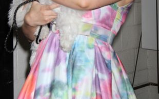 Holly Madison wróciła do formy po porodzie  (FOTO)