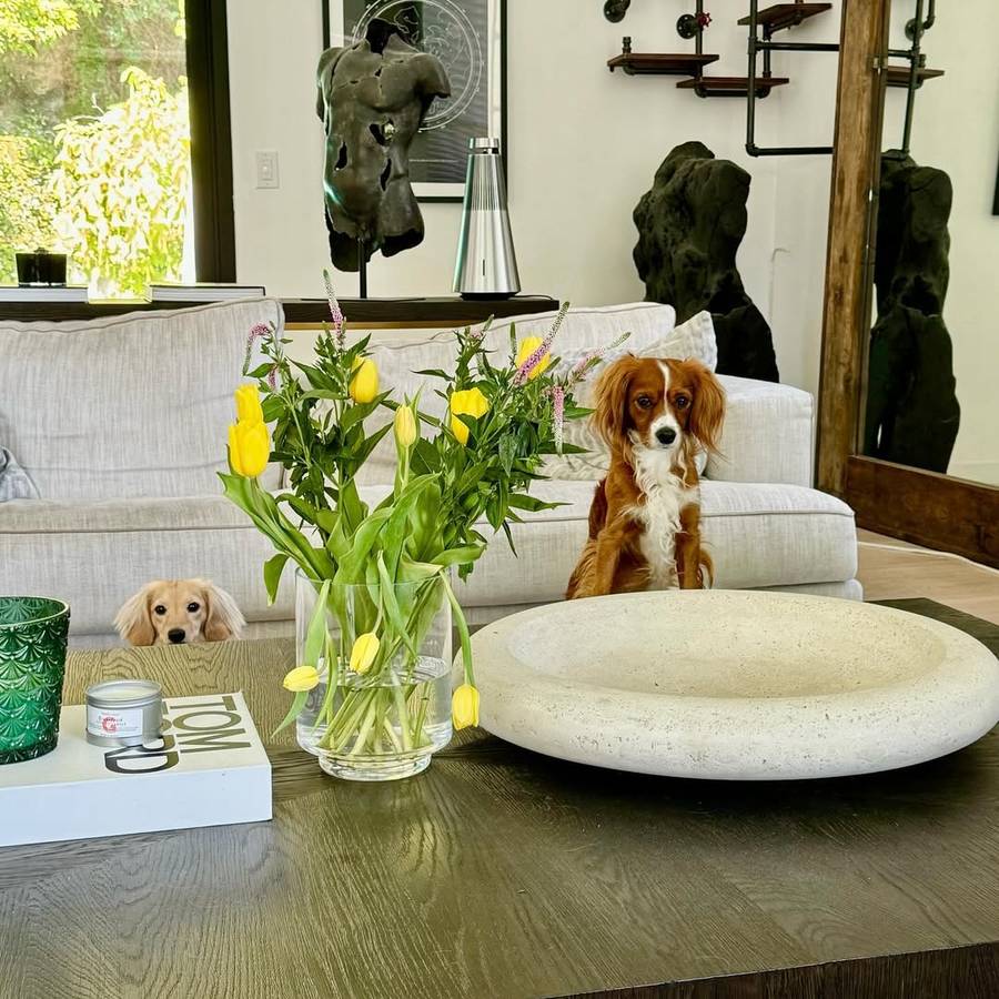 Willa Krzysztof Gojdź/Instagram/drchrisgojdz