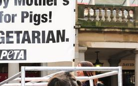 Kontrowersyjna kampania PETA