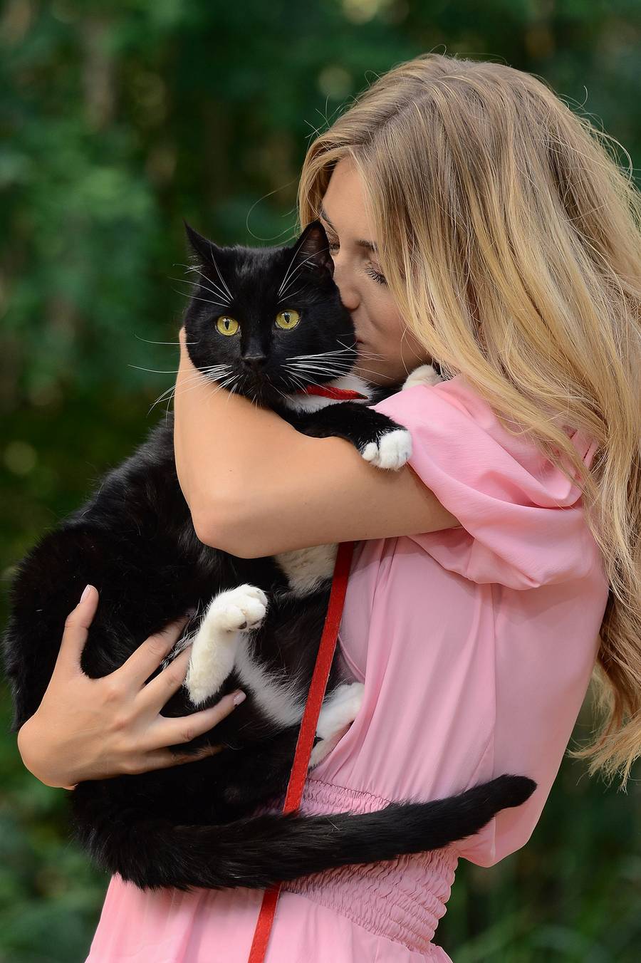 Światowy Dzień Kota: kto ma NAJŁADNIEJSZEGO futrzaka? Sadowska, Wojciechowska a może Jacek Kurski?