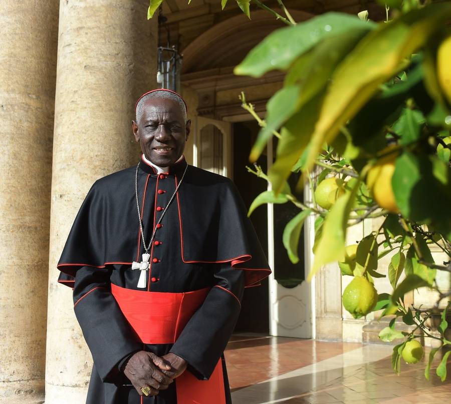 Kto będzie następcą papieża Franciszka? Oto potencjalni kandydaci (FOTO)