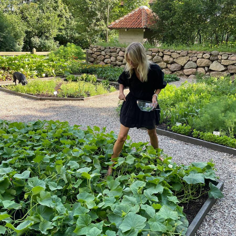 Dom Agnieszki Woźniak-Starak fot. Instagram