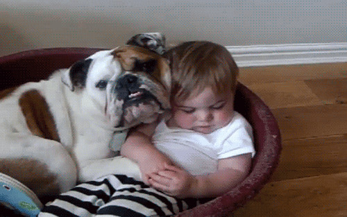 14 przykładów na to, że dzieci potrafią usnąć WSZĘDZIE