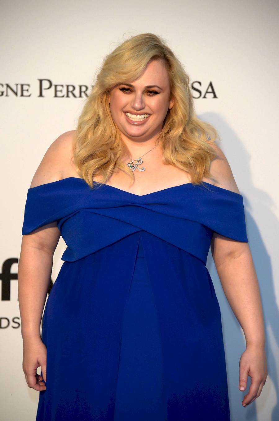 Rebel Wilson przed metamorfozą