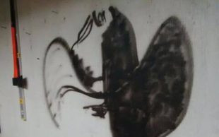 Ile czasu zajmie Ci znalezienie tu konkretnego obrazu?