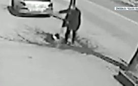 Skopał ciężarną kotkę, grozi mu do 3 lat