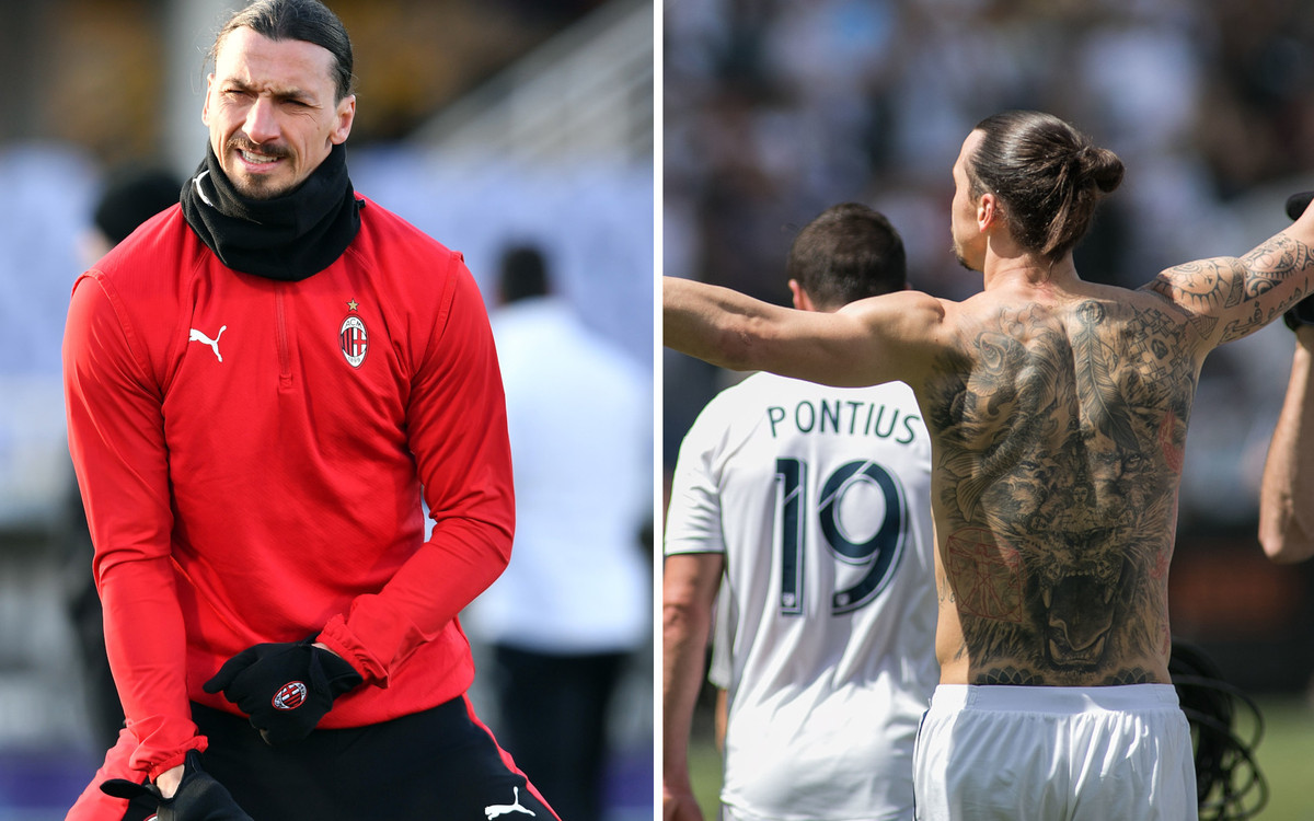 SZOK! Zlatan Ibrahimović zabił lwa?!