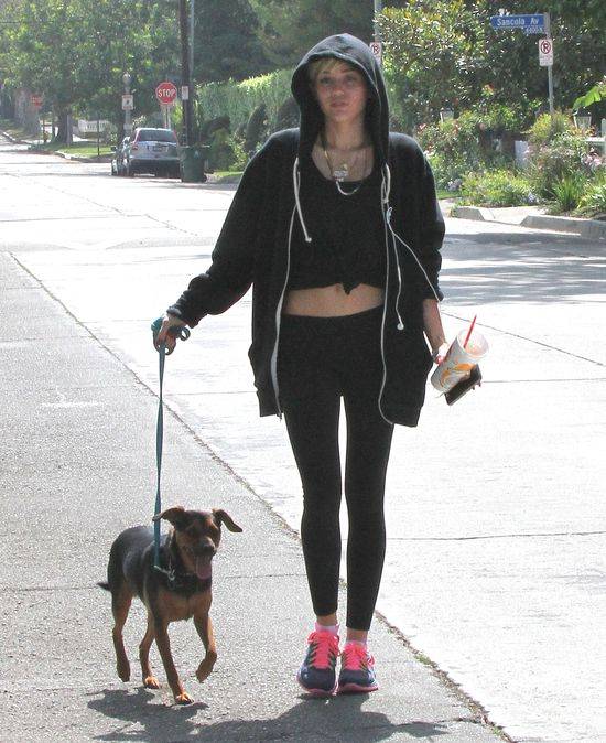 Miley Cyrus z psem na spacerze