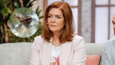 Katarzyna Dowbor ZASKAKUJE wyznaniem. “Wychowałam się z PAJĄKAMI”