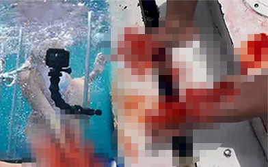 Gwiazda porno zaatakowana przez REKINA! Przerażające wideo!