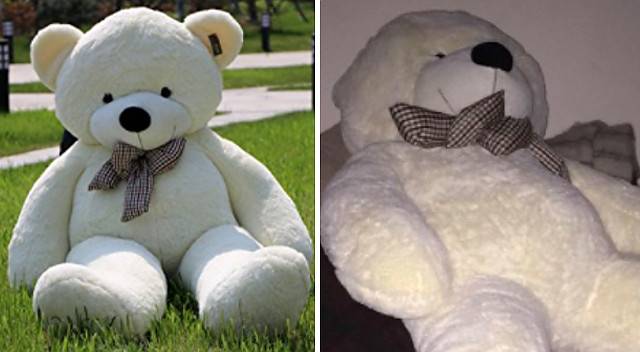 Zamówili wielkiego misia na Amazonie, a kiedy rozpakowali przesyłkę… (ZDJĘCIA)