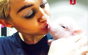 Miley Cyrus parodiuje Nicki Minaj (FOTO)