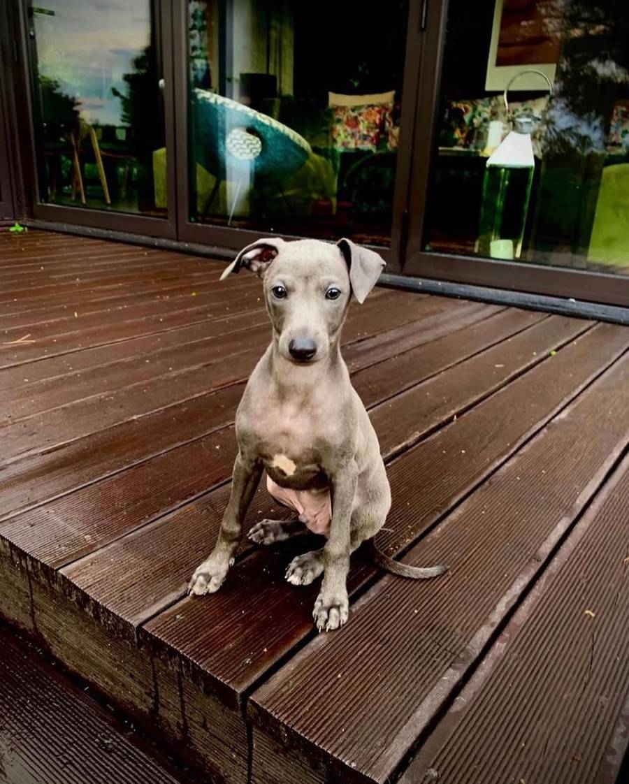 Tak żyje i mieszka Tomasz Wygoda, fot. Instagram