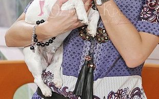 Agnieszka Szulim mówi o swoim byłym