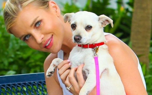 Joanna Krupa wśród pań domu z Miami [VIDEO]