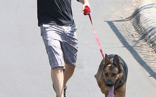 Nic dziwnego, że Ian Somerhalder stracił dla niej głowę FOTO