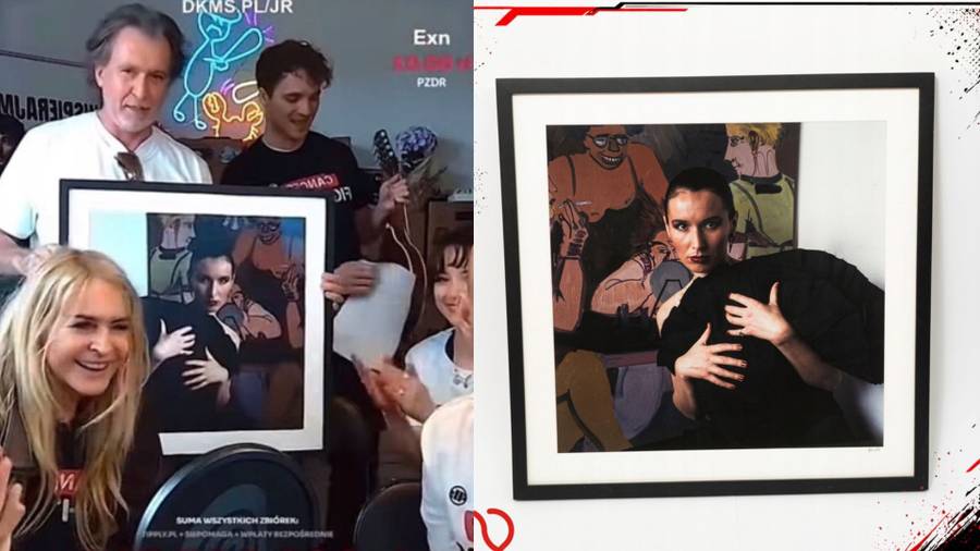 Aukcje po streamie Łatwoganga, fot. Allegro