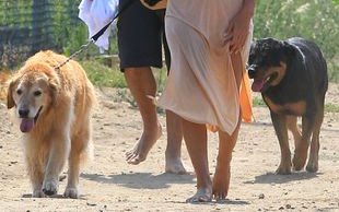 Pamela Anderson spotyka się z byłym mężem (FOTO)