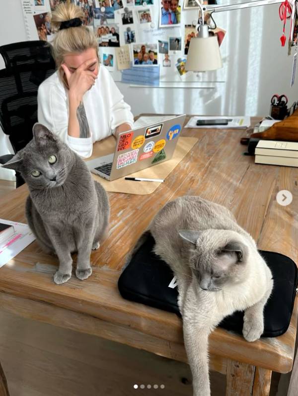 Jak mieszka Martyna Wojciechowska?