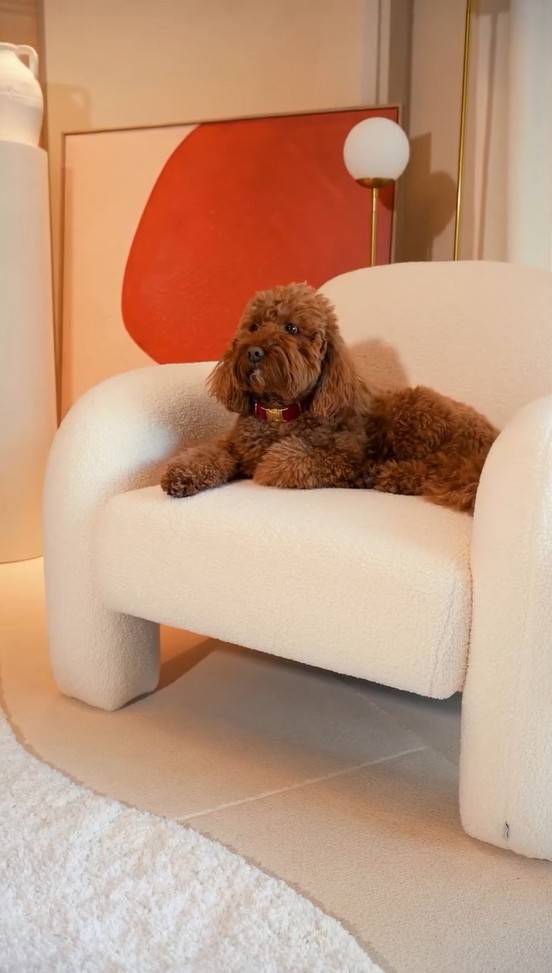 Metamorfoza salonu Ani Lewandowskiej, fot. Instagram