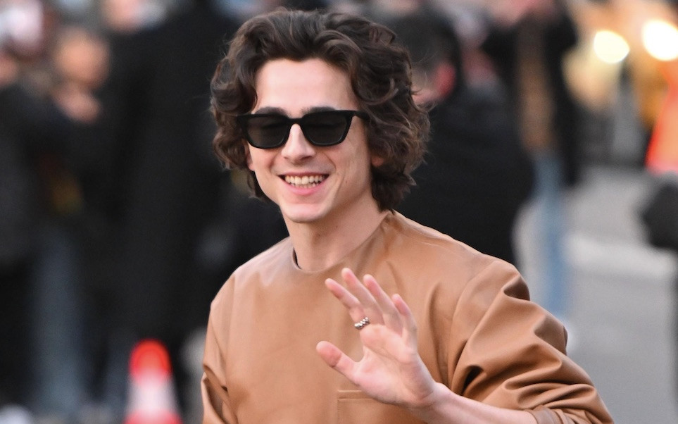 Timothee Chalamet jest “hiper-paranoiczną diwą”. Aktor ma złą opinię…
