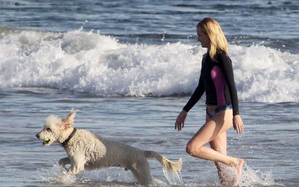 Rosie Huntington-Whiteley z psem