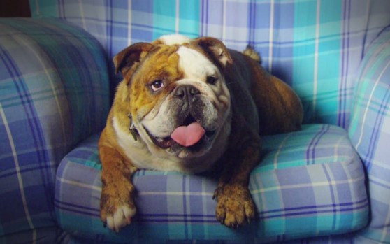 Marlon – poznajcie prawdziwą gwiazdę serialu 2XL (VIDEO)