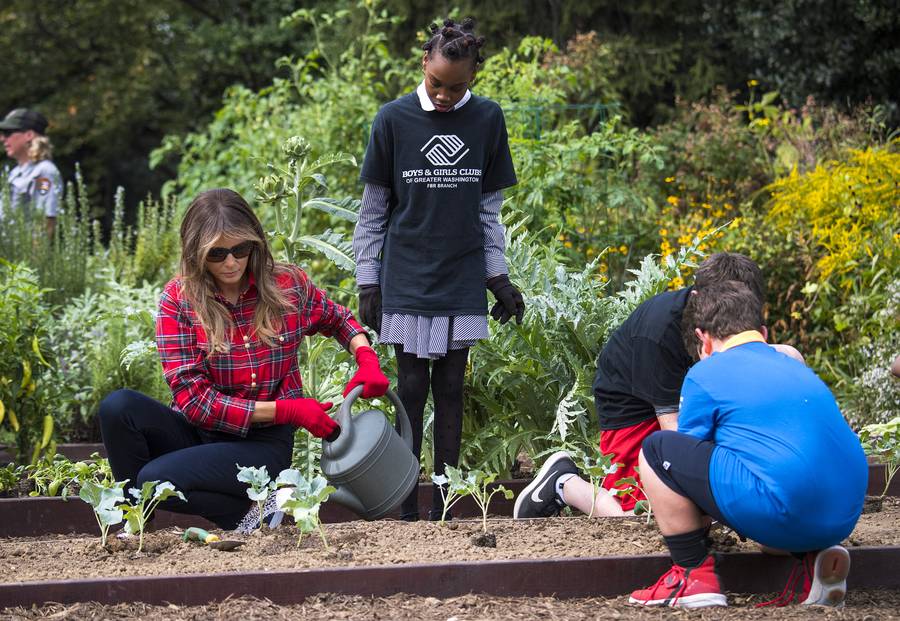 Melania Trump pracuje w ogrodzie, a wszyscy patrzą na jej BUTY