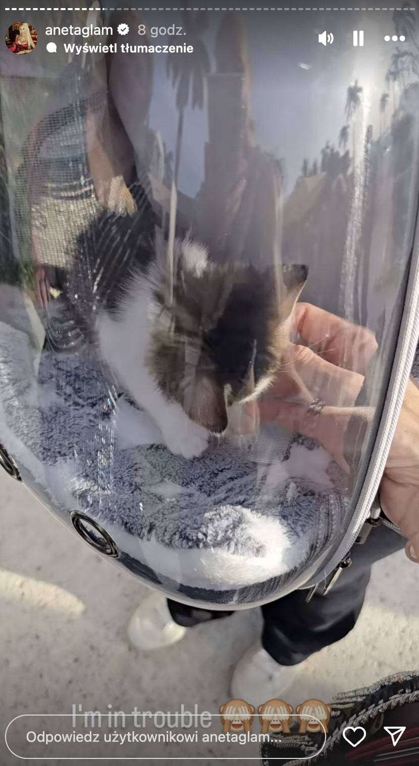 Aneta Glam relacjonuje pełną PRZEPYCHU imprezę u Donalda Trumpa! Pływaczki synchroniczne, orkiestra, złote żyrandole… (FOTO)