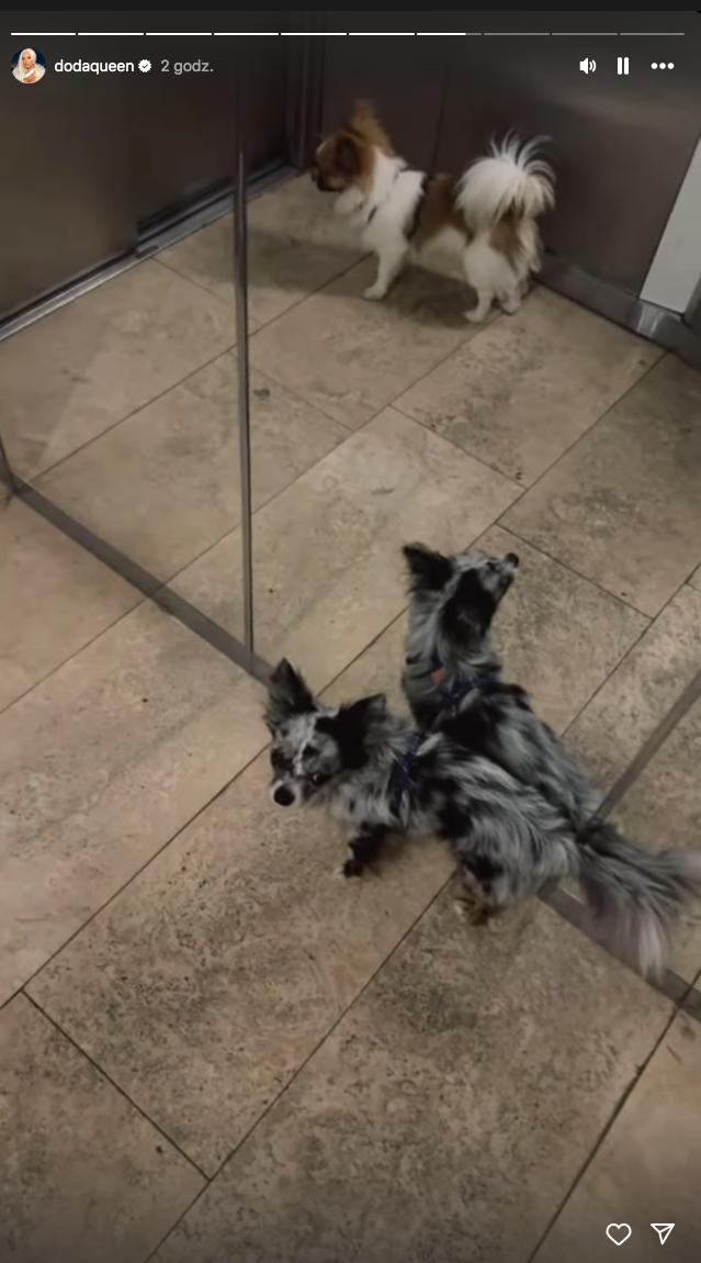 Radosne chwile u Dody