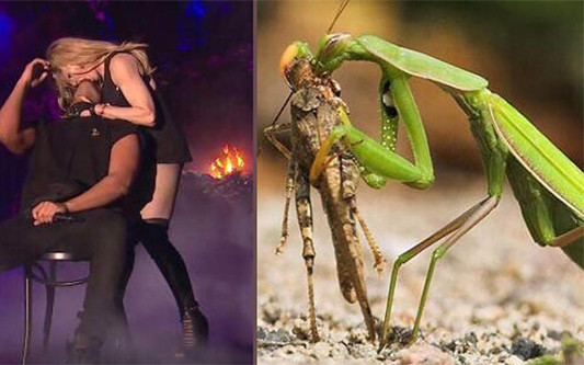 Madonna całuje Drake’a – memy