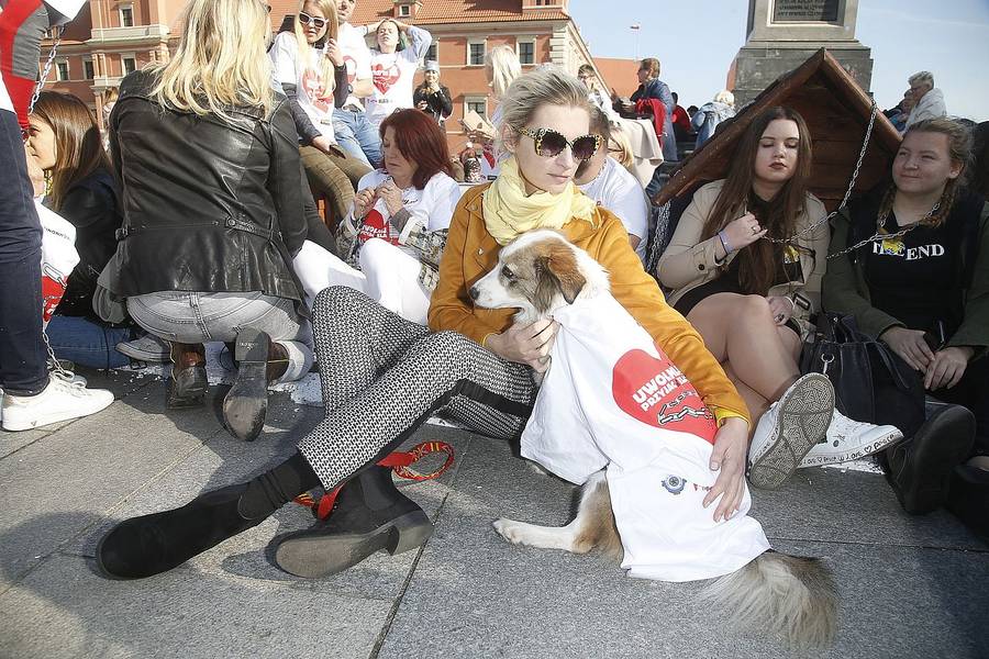 Gwiazdy PRZYKUWAJĄ się łańcuchami do psiej budy (ZDJĘCIA)