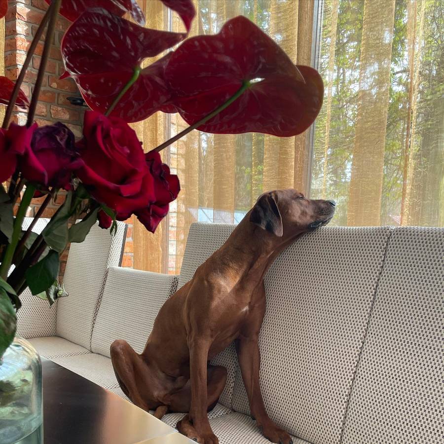 Dom Agnieszki Woźniak-Starak fot. Instagram