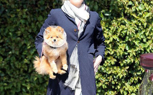 Gwen, Gavin, Zuma, Kingston i paparazzi… (FOTO)