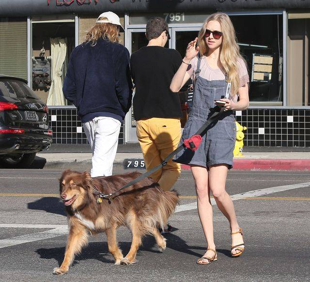 Amanda Seyfried -styl